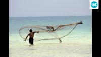 Why has India turned its back on its oceans, asks Rohini Nilekani