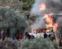 Palestinian Olive Harvest Faces Growing Challenges as Farmers Struggle to Reach Their Land