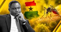Analysis: Ghana’s yellow fever numbers reveal a gap between vaccination and protection