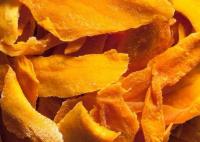 DOST eyes Philippine mangoes for future space missions