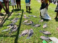 Cage fish farming reaches 43 hinterland communities