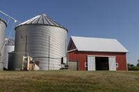 Illinois launches low-interest grain storage loan program for farmers