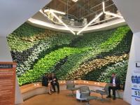 Why green walls are becoming a standard in modern architecture