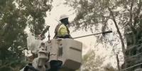 Georgia Power, tree crews prepare for widespread outages from Isaias