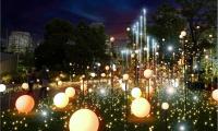 Tokyo Weather in October: What to Do, Wear & What’s Happening