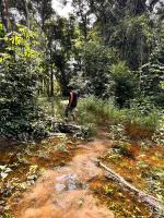 2026 Elections and COP31: What’s Ahead for Indigenous Peoples in Brazil?