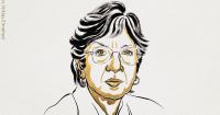 Nobel Peace Prize awarded to South African jurist Navi Pillay for promoting international law