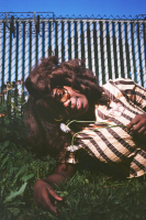 Gayance Shares New Album ‘roaming’