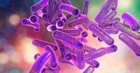 Sexually transmitted diarrhoea cases soar in the US as 'drug resistant' concerns grow