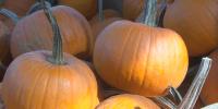 Farmers and producers face shortage of produce and higher marketing costs for consumers