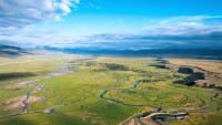 Plant diversity can help protect grasslands from climate change
