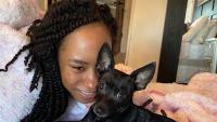 Florida woman's dog killed in Smyrna pit bull attack