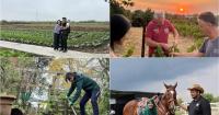 Gotta grow my own way: Why some S’poreans are choosing the farm life abroad