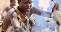 Was the Human Gut Healthier in Ancient Times?