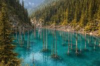 Discovering Kazakhstan’s wild heart