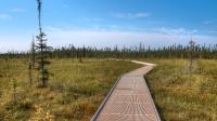'Minnesota's Last True Wilderness' Is An Untamed Recreation Area With Camping, Swimming, And Scenic Trails