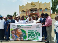 Mental health workforce shortage threatens access to psychiatric care – Experts