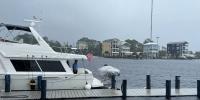 Boaters across Florida’s Panhandle search for safer water ahead of Hurricane Isaias