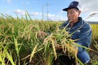 Farm and Fishery Theft Losses Jump 2.3-Fold in a Year
