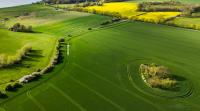 Farmland values increase on the Prairies