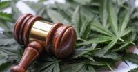 Newnan considers marijuana possession ordinance