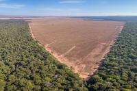 Fears for future of Brazil’s green economy