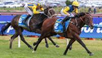 Warwoven seals Golden Rose-Caulfield Guineas double in coup for NZ breeding industry