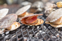 Italian seafood firm expelled from Vigo fair over sexist ‘not all clams are the same’ slogan
