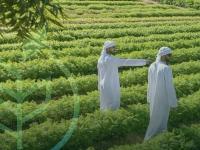 Abu Dhabi Food Week seals Dh6.9 billion in deals
