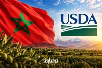 Morocco Secures $33.1 Million USDA Grant to Strengthen Food, Livestock Sectors