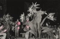 Keys History: The origin of Fantasy Fest