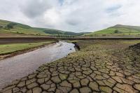 Environment Agency issues West Midlands drought update as England faces continued dry weather