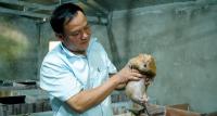 Ethnic Thai farmer sells stilt house to raise bamboo rats and civets in Vietnam