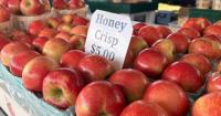 Ripe for the picking: Spring weather caused problems, but apples still delicious at area farms