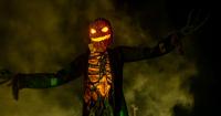 ENTERTAINMENT CALENDAR: October 5 - 13