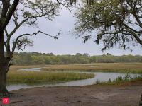 In 2019, Georgia placed 5,000 cubic yards of dredged sediment on a 5-acre salt marsh; six years later, it remained about 12 cm higher, with plant growth similar to nearby marshes