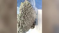 Man lands in Delhi from Bangkok, caught with 12 kg of marijuana worth Rs 4.5 crore