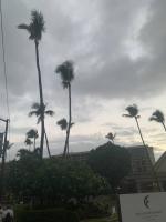 Tropical Gardening: Avoid importing diseases when traveling