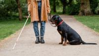 The Great Pup Parade returns to Cape Town