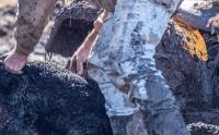 In New Hampshire, mountain bikers keep horse's head above the mud until crews pull him free