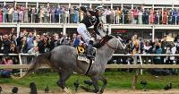What is the future of Maryland’s horse industry? Here’s the state’s strategic plan.