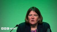 Green Party MP wants to make sure it is 'not vulnerable to extremists'