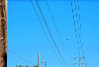 Opinion: Utility rate hikes hit New Hampshire residents hard