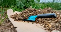 Gardeners urged to put cardboard in their gardens in October
