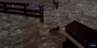Isaias brings storm surge, flash flooding to Florida Panhandle