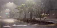 1 killed by downed tree in Florida’s Escambia County