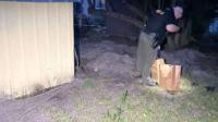 Florida woman arrested after cats found buried alive in her yard