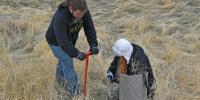 Idaho Fish and Game seeks volunteers to restore wildlife habitat