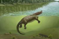 New large docodont fossil sheds light on Jurassic mammaliaform diversity