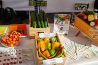 1st Gifts of Thrace Regional Agricultural Exhibition Opens in Southern Bulgaria